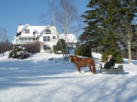 Robinson homestead
