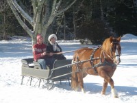 Chris, Crystal & their trusty horse, Romeo